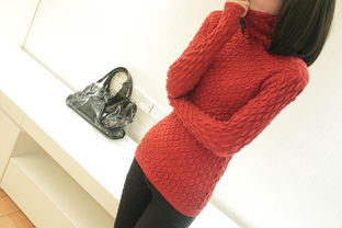 馨慧依 2012秋冬新品熱賣 高領(lǐng)彈力修身菠蘿紋針織打底毛衣